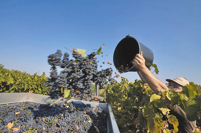 葡萄酒产区拉警报图╱美联社