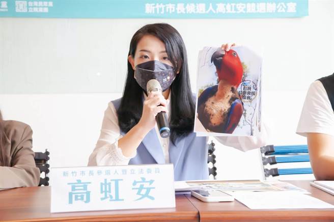 新竹市長參選人高虹安12日舉行「動物園淪為地獄」記者會，揭發新竹市立動物園內有鸚鵡等鳥類疾病自殘、動物不當飼養等現況。（高虹安提供／陳育賢新竹傳真）