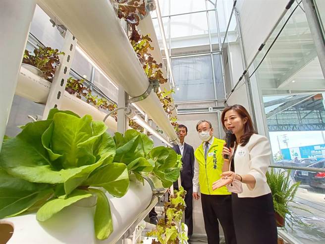 皆展有限公司成立全台首座温室展示中心，并获2022德国iF设计大奖肯定。（吕妍庭摄）