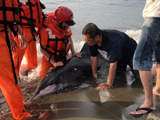 拯救鯨豚 德能贈神器 為海洋盡心力