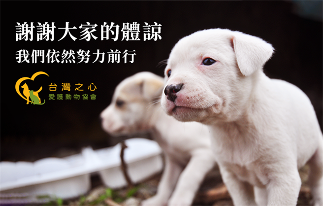 台湾之心强调，已通报165反诈骗专线向警察局报案，并取得报案单。（台湾之心提供）