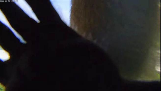 金樽遊憩區即時影像鏡頭遭猴襲。（東管處提供）  