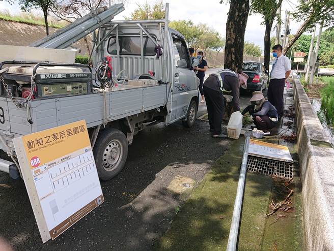 台中市公車「888豐原轉運中心-后里泰安車站」預計10月上路，13日完成站牌設立。（市議員陳清龍提供）