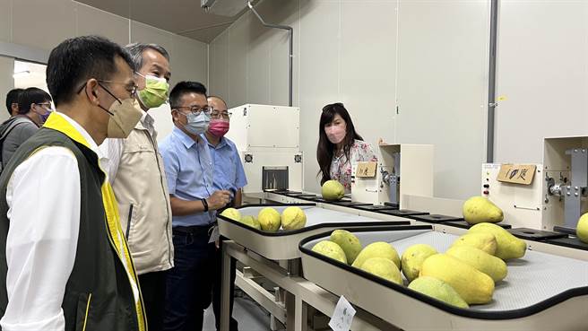 麻豆区农会总干事孙慈敏（右一）13日邀请南市府农业局长李建裕等农政单位长官，参观农会新设立的初级加工场。（张毓翎摄）