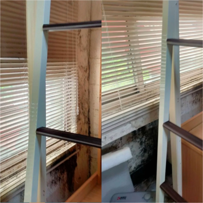 女大生被换宿舍后发现房间全都发霉。（翻摄自Dcard）