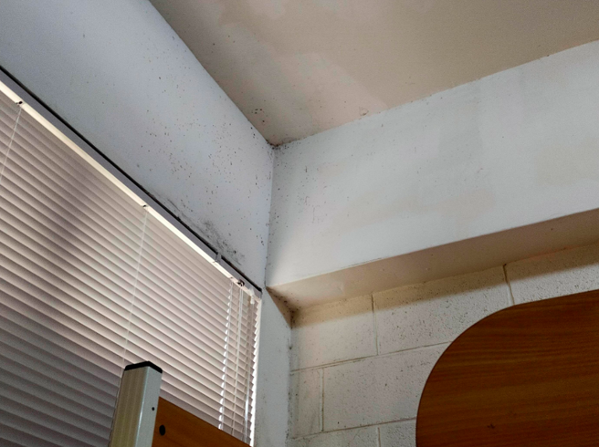 就连天花板也留有发霉黑斑，可见该处多么潮湿。（翻摄自Dcard）