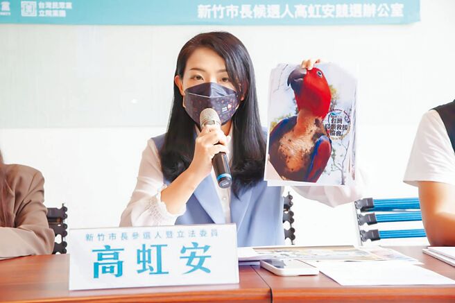 新竹市长参选人高虹安12日举行「动物园沦为地狱」记者会，揭发新竹市立动物园内有鹦鹉等鸟类疾病自残、动物不当饲养等现况。（高虹安提供／陈育贤新竹传真）