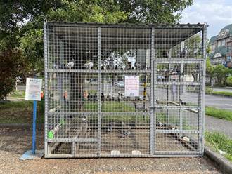 宜蘭羅東文化工場特製鴿籠誘捕 遭批不人道
