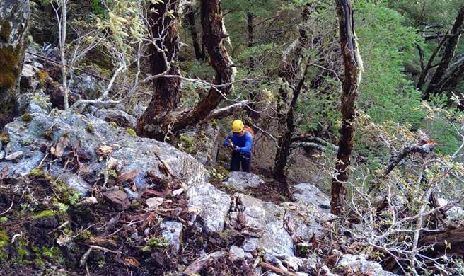 蕭添益與洪華駿攀登團隊，今天7時10分到達預定的垂降點開始垂降。（消防局提供）
