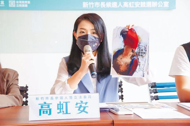 民眾党新竹市长候选人高虹安12日举行「动物园沦为地狱」记者会。（高虹安提供／陈育贤新竹传真）