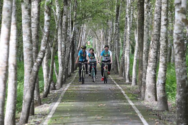 （「两铁旅游列车」花东3日行程带游客骑行于花东纵谷必访自行车道「大农大富平地森林园区」，晚上入住「天下第一神仙汤」美名的五星日晖渡假村。图／雄狮旅游提供）
