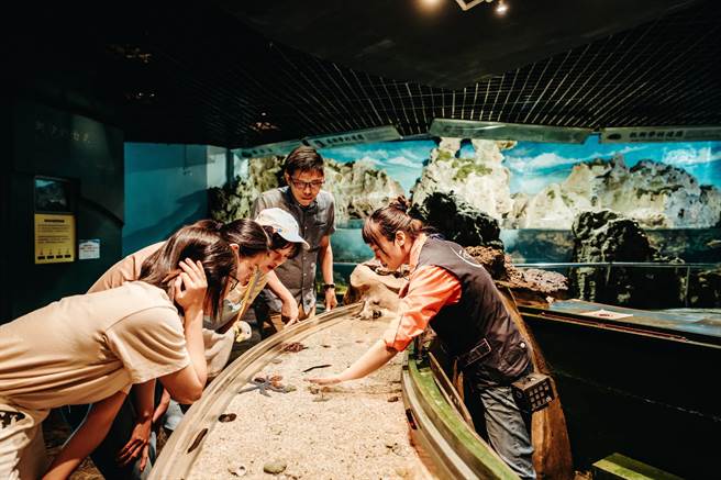 由屏东海生馆独家推出的「夜巡海生馆」限定行程，不同夜宿海生馆体验，深受游客喜爱。（谢佳潾摄）