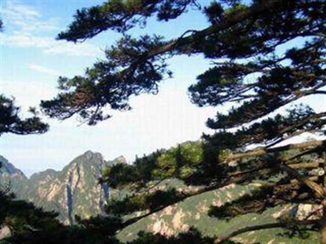 皖企大歷山景区非法採矿屡禁不止，大陆检方刑追附带惩罚性赔偿。（大歷山风景区管委会）