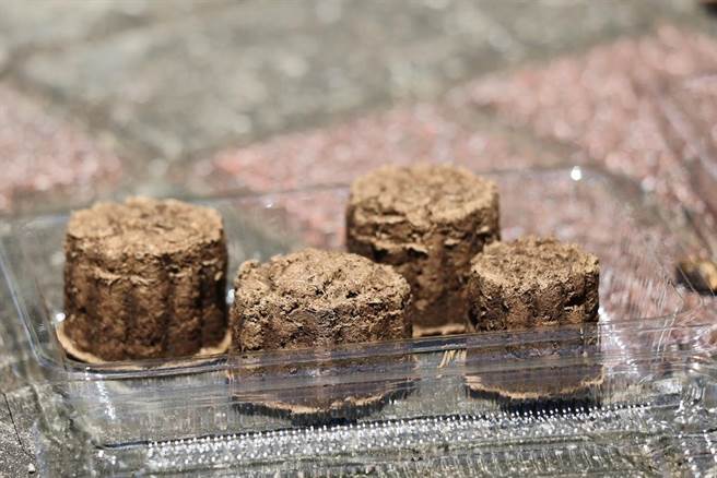 云林县府本月推出社区深度文化之旅「土库款款行　漫游牛果果」1日游，将DIY牛粪月饼。（林家良提供）