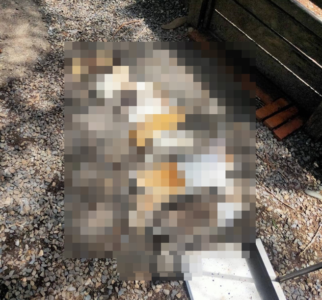 「8尸躺地」心痛照片曝光。（翻摄脸书爆废公社公开版）