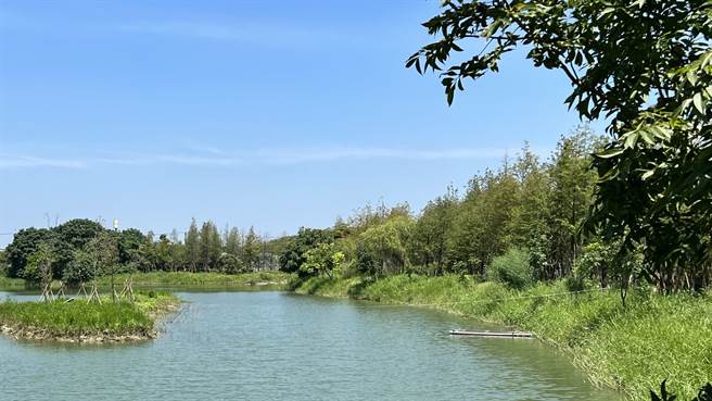 台南市柳营区太康有机农业专区内有一座滞洪池，去年委外经营业者在池畔种植200棵落羽松，让景致升级。（张毓翎摄）