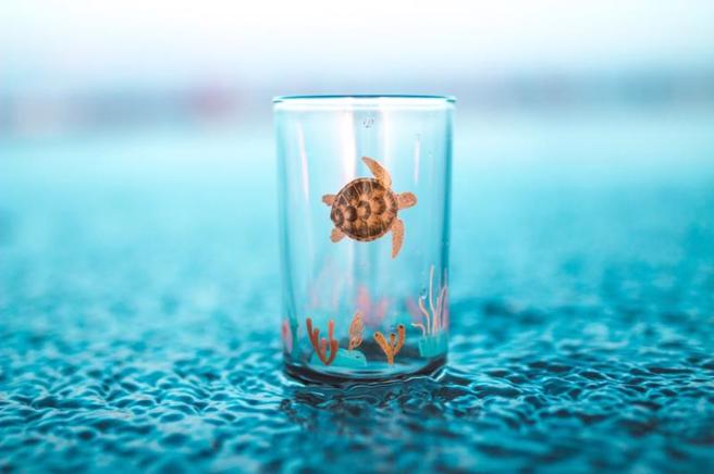 屏东县政府今年出版新书「屏东海底40米」，即日起在各网路平台预购，早鸟预购还可获得限量款「海底40米珊瑚杯」。（图/ 中央社）
