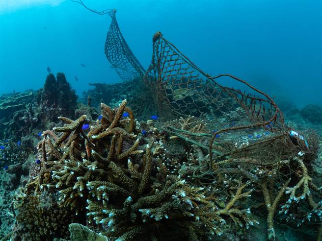 绿色和平在世界清洁日当周（ 9 月 14 日至 9 月 15日）与台湾澎湖南方四岛保育协会合作，共计 32 位志工在澎湖县望安岛绿蠵龟产卵栖地保护区东侧海域进行净海行动。（绿色和平提供／林良齐台北传真）