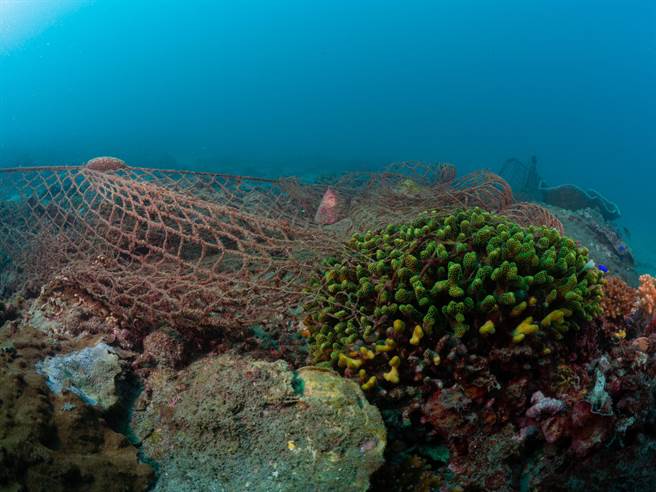 绿色和平在世界清洁日当周（ 9 月 14 日至 9 月 15日）与台湾澎湖南方四岛保育协会合作，共计 32 位志工在澎湖县望安岛绿蠵龟产卵栖地保护区东侧海域进行净海行动。（绿色和平提供／林良齐台北传真）
