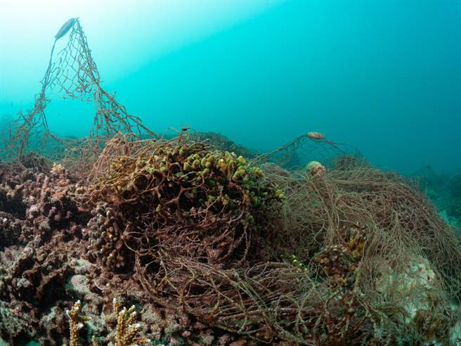 绿色和平在世界清洁日当周（ 9 月 14 日至 9 月 15日）与台湾澎湖南方四岛保育协会合作，共计 32 位志工在澎湖县望安岛绿蠵龟产卵栖地保护区东侧海域进行净海行动。（绿色和平提供／林良齐台北传真）