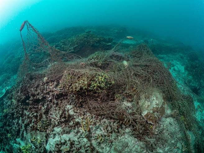绿色和平在世界清洁日当周（ 9 月 14 日至 9 月 15日）与台湾澎湖南方四岛保育协会合作，共计 32 位志工在澎湖县望安岛绿蠵龟产卵栖地保护区东侧海域进行净海行动。（绿色和平提供／林良齐台北传真）