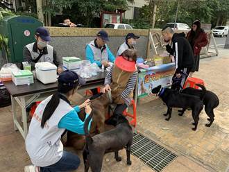 9／24花蓮浪浪領養活動 縣府免費提供500劑疫苗防範狂犬病