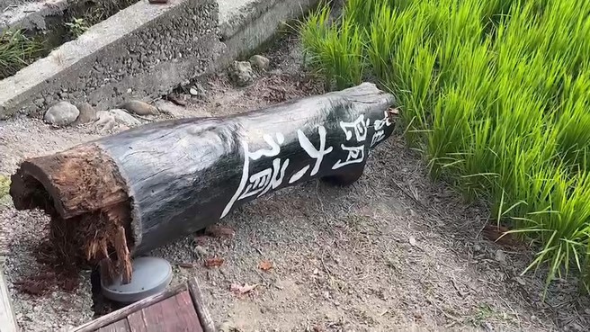 台东台东县池上乡知名景点伯朗大道招牌18日下午承受不住强震应声断裂。（资料照/蔡旻妤摄）