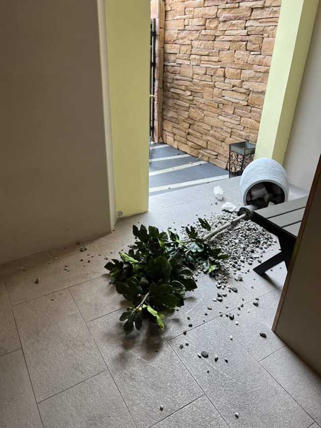 地震摇到盆栽都倒了。（图／薇薇weiisly脸书）