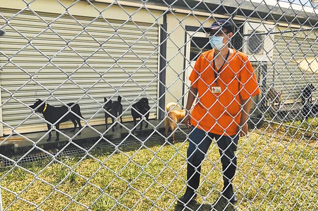 议员杨静宇忧要求北市强化动物之家的收容功效，且拒绝恢復动物安乐死。（本报资料照片）