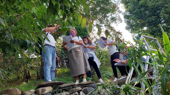 布农丹大族人在老师带领下，走访林道认识马告生态环境，并学习马告香料文化。（民眾提供／杨静茹南投传真）