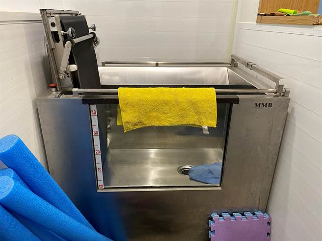 永和区1间动物医院为妥善照顾老年宠物，添购水疗机。（新北市动保处提供／李奇叡新北传真）