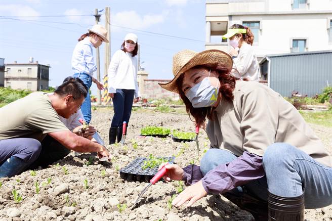 农家长女出身的民进党新竹市长参选人沈慧虹20日举办农村体验活动。（陈育贤摄）