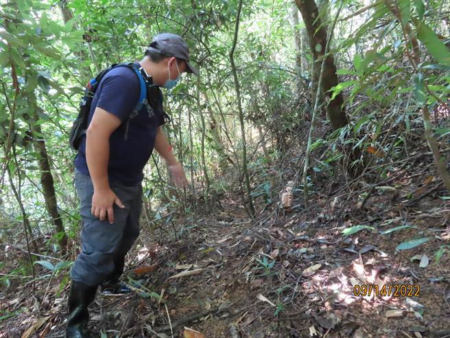 森林护管员指猎人会依据各种动物的习性，在兽径放置捕兽铗或山猪吊等陷阱。（民眾提供／杨静茹南投传真）