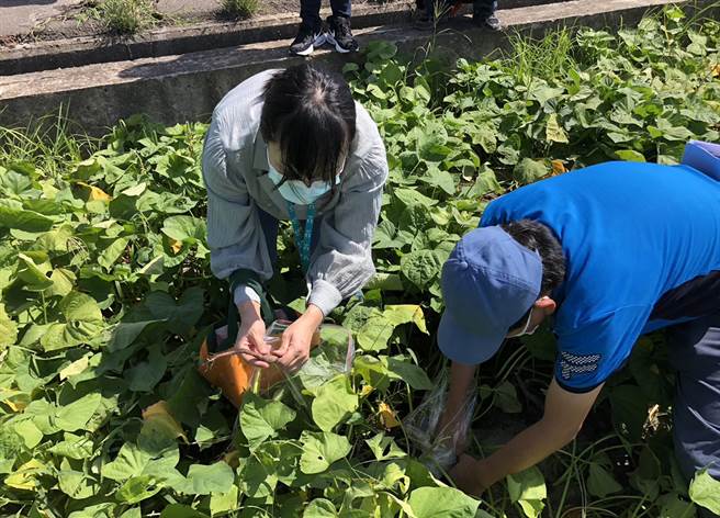 市议员吴敏济接获民眾的连署陈情，21日邀相关单位到场会勘採样。（吴敏济服务处提供）