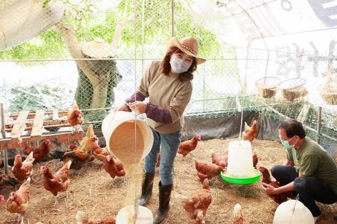 民進黨新竹市長參選人沈慧虹。（圖／沈慧虹辦公室提供）