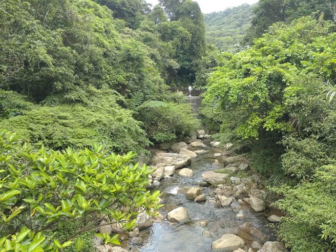 暖东峡谷步道经过重新修整，包括标示、步道等设施，都有长足的进步。（张志康摄）