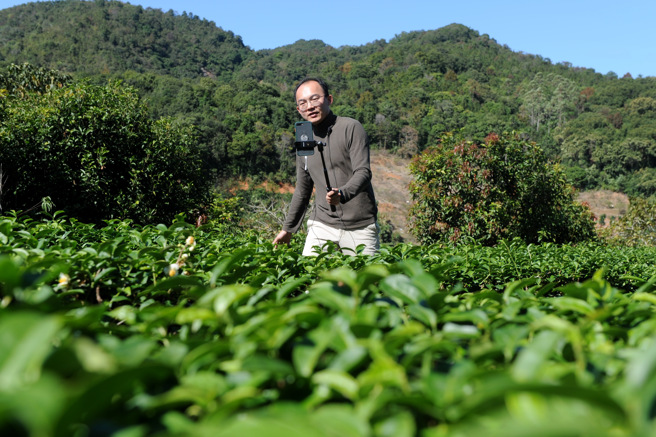 拿着自拍杆和手机，曾冠颖时常走在自家茶园里，录制短视频介绍「茶叶小百科」。（作者提供）