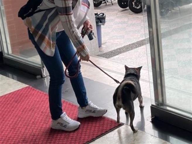 谢女感谢杨梅警方协助，让爱犬能平安返家。（翻摄画面／蔡明亘桃园传真）