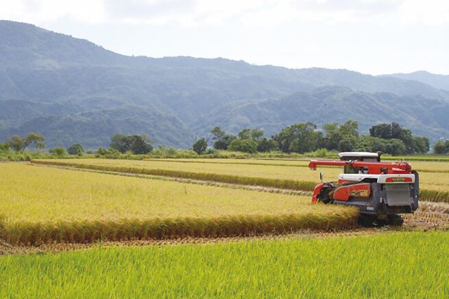 农业不仅是温室气体排放来源，更是固碳增匯的主要贡献者，农民透过碳信用额的出售，既对环境有利又可获得经济利益。图／本报资料照片