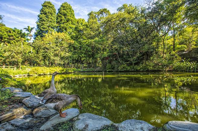 新埔照门休閒农业区是传统客家聚落，四季主题农游能体验客家风情，农委会评鑑获模范奖。（罗浚滨摄）