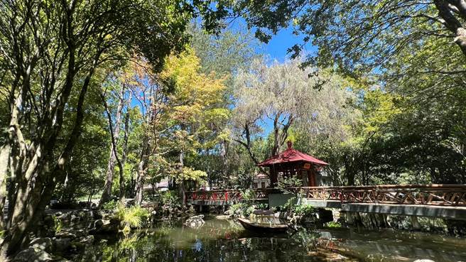 武陵農場天鵝池附近部分染黃楓香，倒映在池水上煞是美麗。（武陵農場提供／陳淑娥台中傳真）