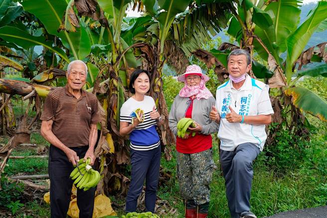 国民党国民党高雄市长参选人柯志恩今（22）日表示，昨天拜访蕉农，发现收购价只2.6到8元多，平均只有5元多，「蕉农心在淌血」。（柯宗纬翻摄）