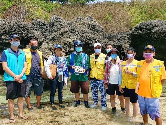 屏县府为挽救小琉球近年大幅衰退的潮间带生态，今年启动復育试验计画，22日将蓄养成功的砗磲贝进行首次潮间带现地移植。（屏县府提供／谢佳潾传真）