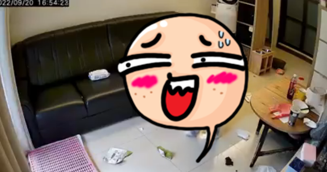 家中放置全新皮沙发，2小时后家中2的大狗就将整座沙发咬得支离破碎，隔一天沙发就报废丢弃了，该网友无奈PO文「谢谢沙发短暂陪伴，我们怀念它」。（翻摄自脸书「爆废公社公开版」）