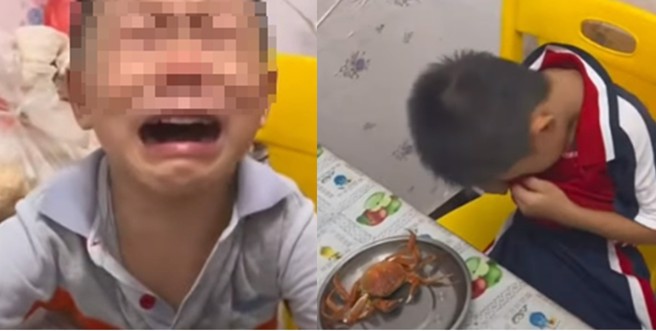 大陸有爸爸把兒子的寵物蟹煮來吃，還要求他吃下肚。（圖／翻攝自中國遼寧衛視官方頻道）
