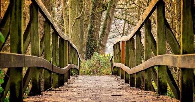 一名55歲女子因為疲累靠在木製欄杆上，沒想到老舊欄杆竟突然斷裂，導致她直接從9公尺高處墜崖。（示意圖／pixabay）