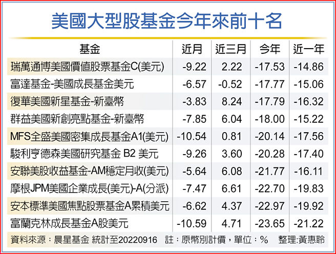 美國大型股基金今年來前十名