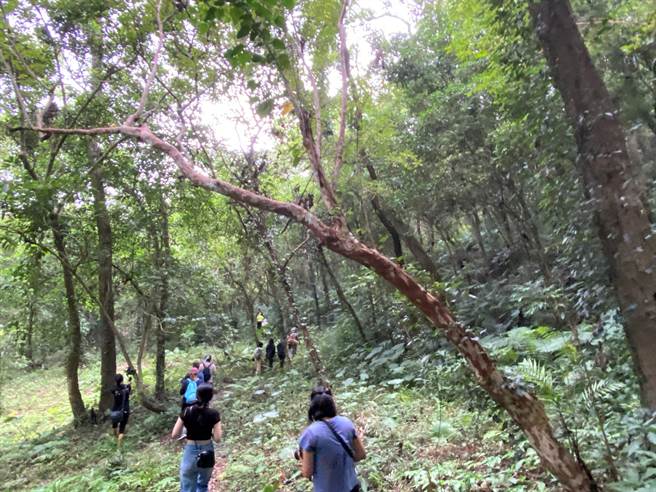 强震使铁路受损，台东铁路交通未来半年进入黑暗期，影响台东观光，台东旅游照。（蔡旻妤摄）