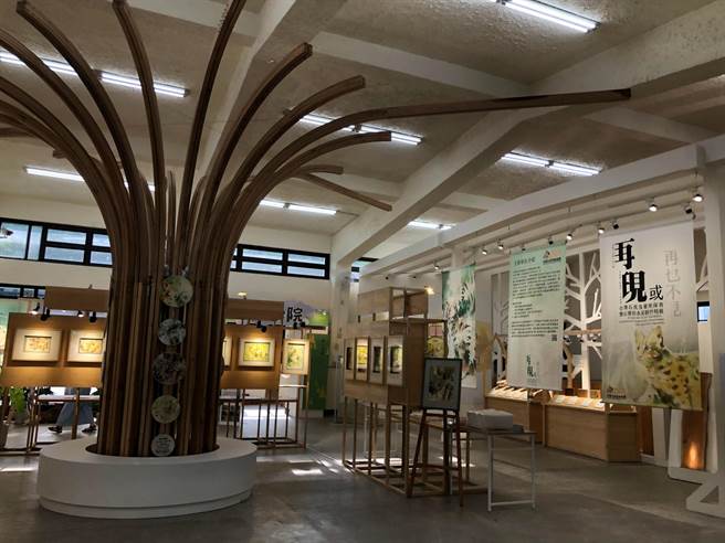 台湾石虎24日将在东势林业文化园区登场，带领民眾一窥石虎的生命故事。（东势林管处提供／陈淑娥台中传真）