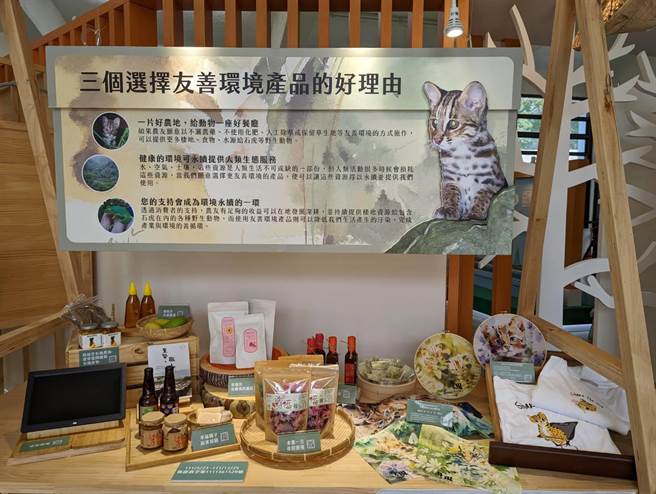 台湾石虎24日将在东势林业文化园区登场，带领民眾一窥石虎的生命故事。（东势林管处提供／陈淑娥台中传真）